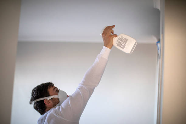 Best Black Mold Removal  in Rosanky, TX