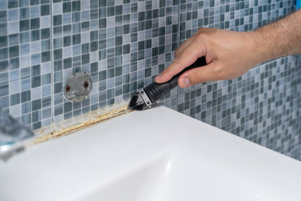 Office Mold Removal Services in Rosanky, TX
