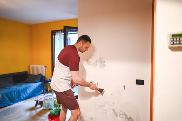Best Professional Mold Removal  in Rosanky, TX